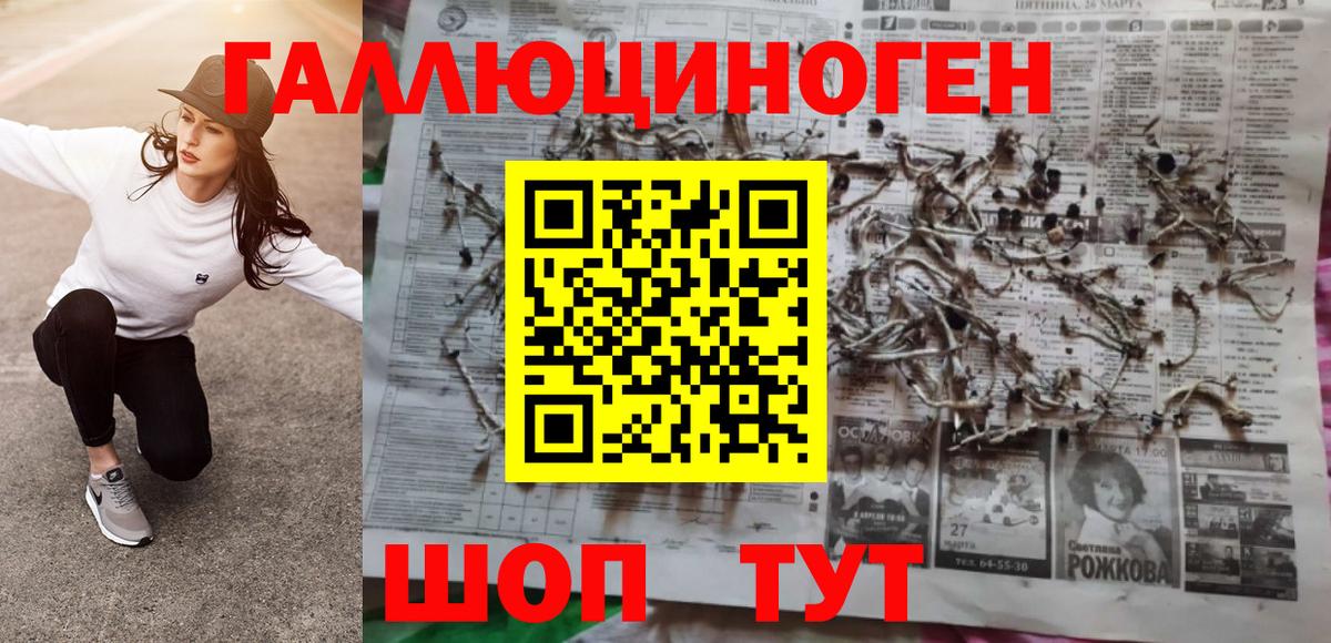 Псилоцибиновые грибы мицелий Сызрань