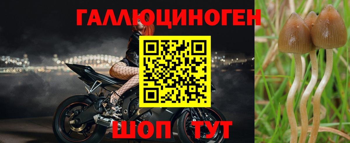 Сызрань  Галлюциногенные грибы ЛСД  Вход с VPN 